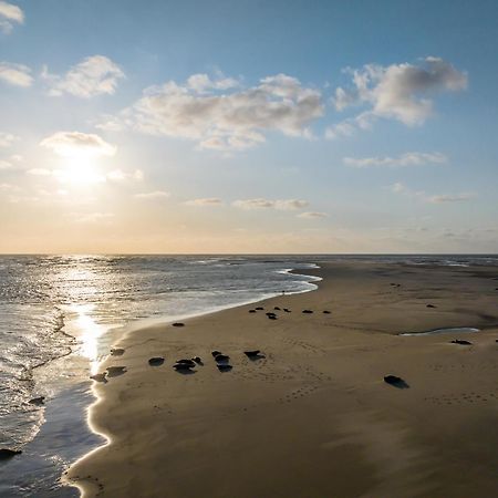 Hotel Renesse Dış mekan fotoğraf