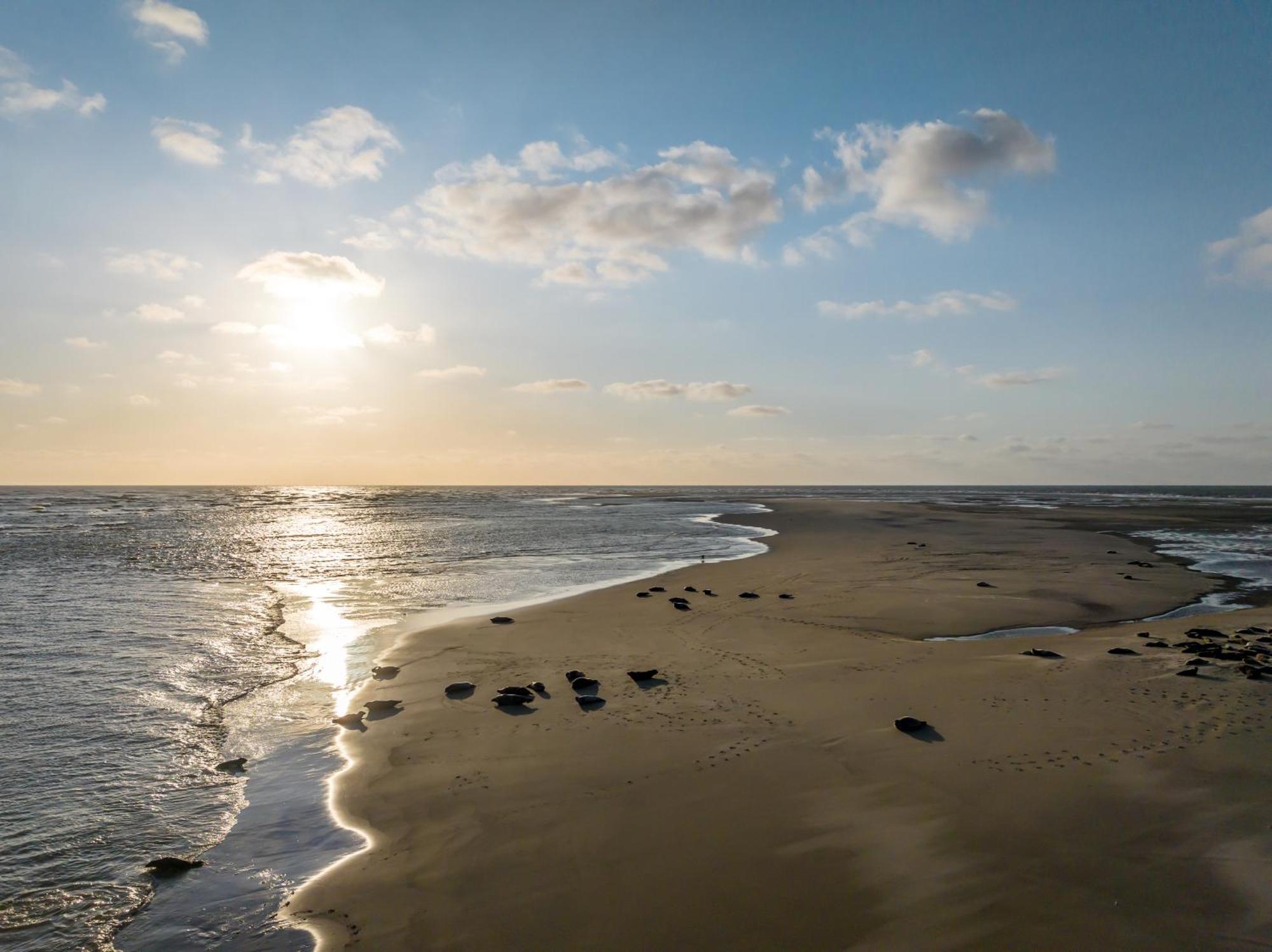 Hotel Renesse Dış mekan fotoğraf